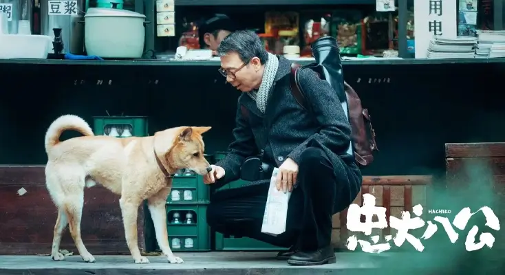 在国外看电影用什么软件？示例